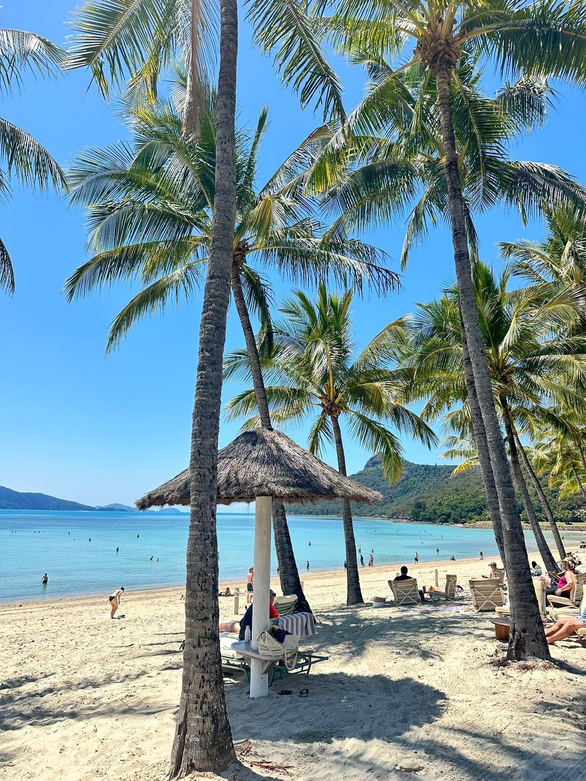Praia de Hamilton Island com coqueiros e água azul-turquesa